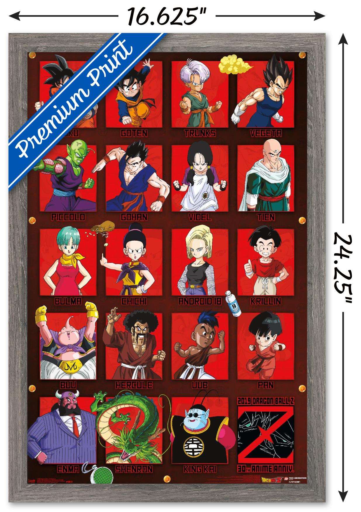 Dragon Ball Z - Anniversary Wall Poster, 14.725" x 22.375", Framed