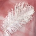 thumbnail image 3 of 10-Pack Floating Plume Feathers, 20-25cm Multicolor Natural Feathers for Wedding Centerpieces, DIY Hair Accessories & Craft Decorations, 3 of 3