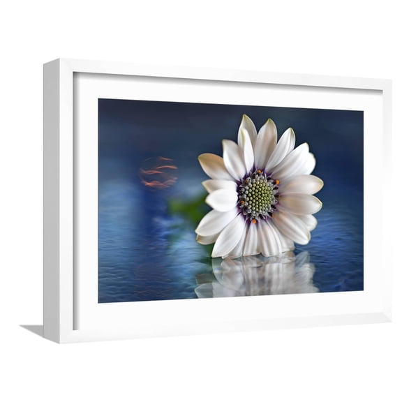 Art.com Resting in Water Photographic Print by Heidi Westum, White Frame Wall Art, 23" x 17"