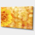 thumbnail image 2 of Beautiful Floral Yellow Background - Large Floral Canvas Artwork, 2 of 3