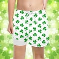 thumbnail image 2 of Boys Summer Shorts Saint Patrick's Day Print Beach Outdoor Holiday Boys Clothes Festive Celebration, 2 of 4