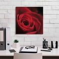 thumbnail image 5 of Epic Graffiti 'The Red Rose I' by Lori Deiter, Canvas Wall Art, 18"x18", 5 of 8