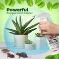 thumbnail image 2 of Aerosol repelente de ratones Mighty Mint, aceite de menta, 500 ml, 2 of 7