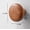 Rotundity, variant on Scandinavian Solid Wood Handle Clothes Hook Coat Hook Wall-mounted Hook Punch-free Door Clothes Hanger Pebble Shape Cabinet Door