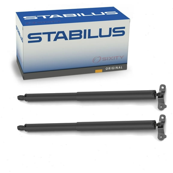 2 pc Stabilus 4C-019027 Hatch Lift Supports