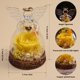 thumbnail image 2 of Figura de ángel con forma de rosa auténtica preservada en cristal con luz LED, 2 of 8