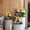 Q, variant on Upgraded Bee Garden Courtyard Decoration Floor Insert P