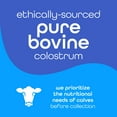 thumbnail image 3 of Zena Nutrition Colostrum Premium Powder, Gluten Free, Unflavored, 1000mg, 30 Servings, 3 of 9