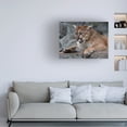 thumbnail image 3 of Robert Michaud 'Cougar 2' Canvas Art, 3 of 4