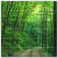 thumbnail image 1 of Picture-Tiles.com: Trees Ceramic Tile Wall Mural WAL501036-66S. 25.5"W x 25.5"H using (36) 4.25" x 4.25" Ceramic Tiles-Satin Finish, 1 of 3
