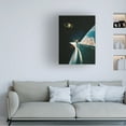 thumbnail image 2 of Trademark Fine Art Taudalpoi  Determination Canvas Wall Art, 2 of 4