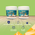 thumbnail image 3 of PINTEX Galon de Pintura para Pared Vinil-Acrílica | Fácil Aplicación, Alta Cobertura y Resistente a la Lluvia | Pintura Acrilica para Interiores Exteriores Mate | 3.8 L c/u | Color(VERDE MANZANA), 3 of 8