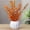 White, variant on Loyerfyivos Creative Pumpkin Shaped Plastic Vase for Flower Dry Flower Hydroponic Planter Decorative Vase for Home Room Office Party Wedding Thanksgiving Pumpkin Shaped Planter - White