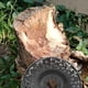 thumbnail image 5 of Disco De Pulido De Púas, Acabado Brillante, Fácil Instalación, Disco De Tallado De Madera De Acero De 65 Mn Para Proyectos De Carpintería De Bricolaje, 5 of 8