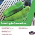 thumbnail image 6 of Harris Seeds - Pepper Aruba F1 Seeds - Treated Variety - Non-GMO - 50 Seeds, 6 of 7