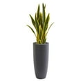thumbnail image 1 of Nearly Natural 9074 Plante Artificielle Sansevieria 3 Po. dans un Pot Gris, 1 of 1
