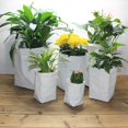 thumbnail image 2 of Bolsa de papel Kraft lavable para plantar frutas y verduras, soporte para contenedor de plantas de jardín, flores y viveros, color blanco, 2 of 8