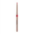 thumbnail image 1 of Rouges à Lèvres pour Femmes Crayon à Lèvres Rotatif Automatique Petit Lot Rouge à Lèvres Imperméable Longue Durée Mat Crayon à Lèvres Maquillage, 1 of 6