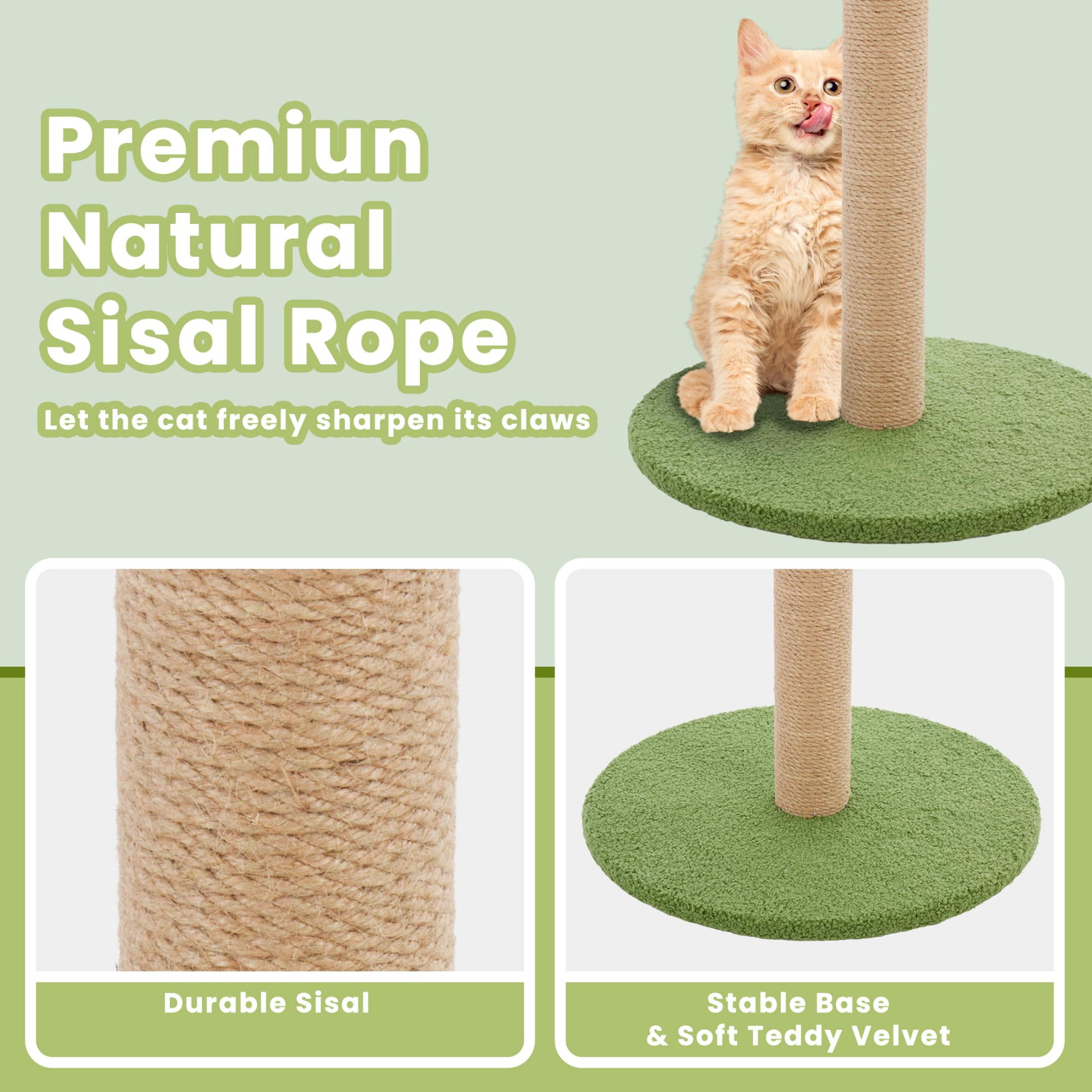 EDX 33" Cat Scratching Post, Cat Scratcher Tall Scratching Posts with Dangling Ball, Palm Tree Cat Scratch Post for Indoor Cats, Green