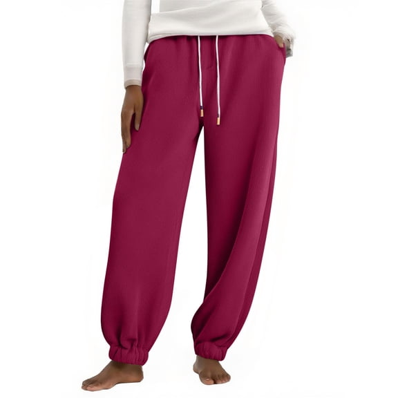 Diufon Fleece Lined Sweatpants Women Plus Size Drawstring Waisted Cropped Pants Plush Warm Trousers with Pockets