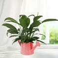 thumbnail image 6 of oshhnii Watering Can Decorative Sprinkling Can for Outdoor Plants Vase Indoor Plants Pink, 6 of 9