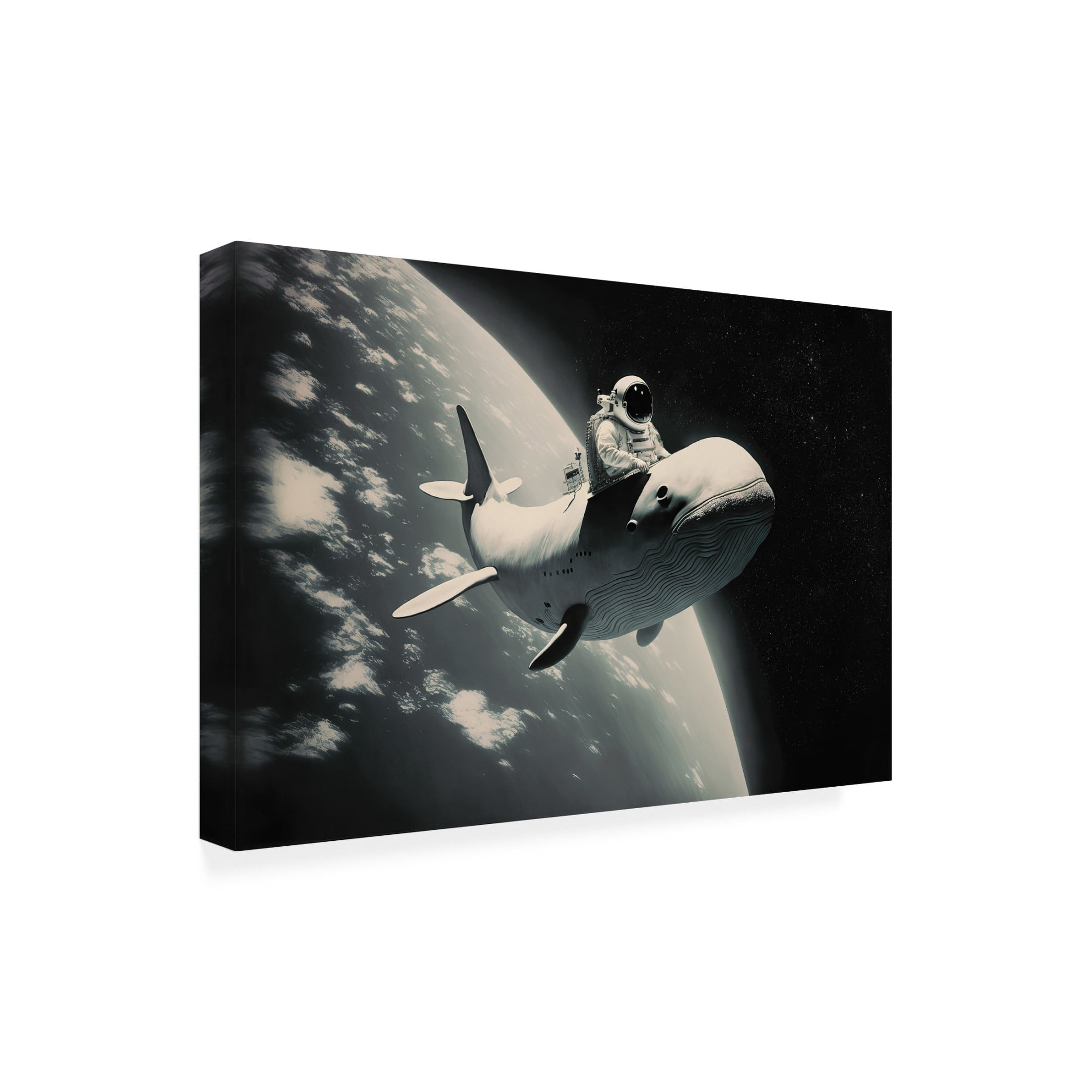 Canvas Wall Art - Treechild 'A Special Journey' Wall Art for Living Room, Bedroom, or Office D?cor by Trademark Fine Art - 19 x 12 Inches