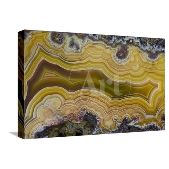 Banded Agate, Sammamish, Washington State, Stretched Canvas Wall Art by Darrell Gulin Sold by Art.Com