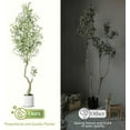 thumbnail image 3 of Kojooin 7ft Tall Faux Olive Tree,Faux Olive Tree with White Planter and Green Fake Moss,2 Pack, 3 of 6