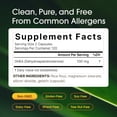 thumbnail image 4 of NatureBell DHEA 100mg - 240 Capsules - DHEA Supplement for Energy Levels, Immune Health & Healthy Aging Support - Highly Bioavailable - Non-GMO & Gluten Free - 120 Servings, 4 of 8