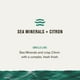 thumbnail image 4 of Desodorante Every Man Jack Sea Minerals + Citron 90 ml (paquete de 2), 4 of 9