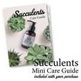 thumbnail image 3 of Cute Farms Succulent, Cacti, & Aloe Fertilizer (4 oz. Spray Bottle), 3 of 6