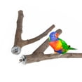 thumbnail image 2 of LAIQIEN Bird Toy Natural Wood Stand Perch for Cockatiel Conure Parakeet, 2 of 9