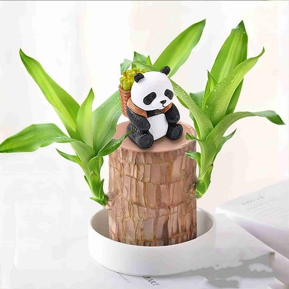 Wadada Brazilian Wood Decor, Mini Brazil Lucky Wood with Tray, Brazilian Lucky Wood Purify Indoor Air, Brazilian Lucky Bamboo Wood Desk Hydroponic Potted for Home Office Desktop Decoration