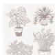 thumbnail image 1 of Clear Silicone Seal Exquisite Embossing Template for Paper Card Making Decoration DIY Scrapbooking Vase, 1 of 3