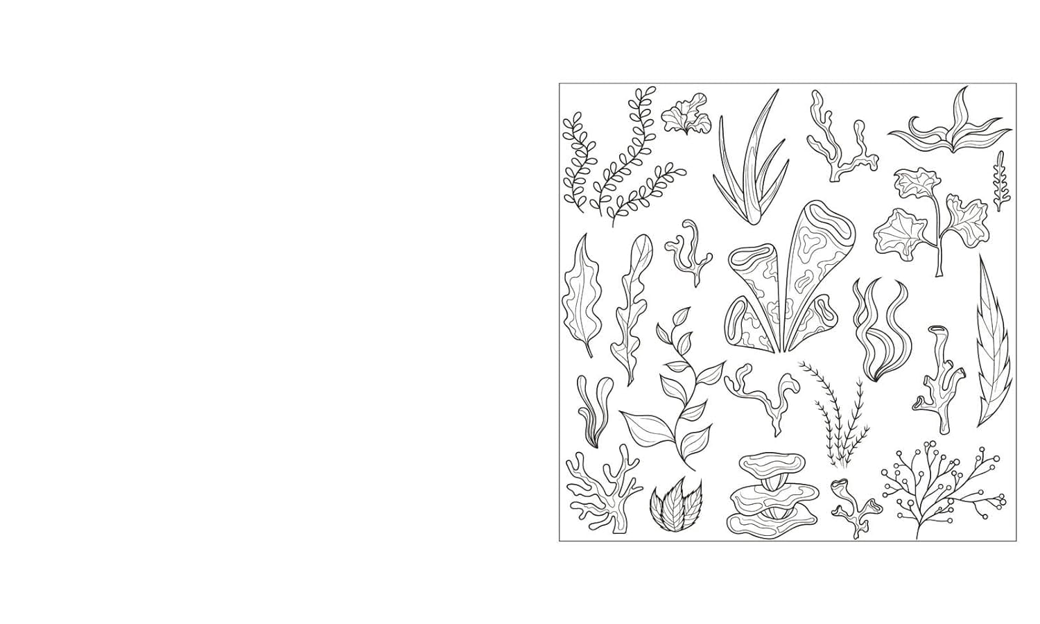 Tansy Willow The Beautiful World Colouring Book (Paperback) Arcturus Creative Colouring