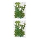 thumbnail image 4 of Advancent Hoja seca natural DIY Arte hecho a mano Planta en relieve Hojas prensadas Decoración Hogar Decorativo para tarjetas de boda de resina Hoja verde 12 2piezas Advancent CBP163988, 4 of 5