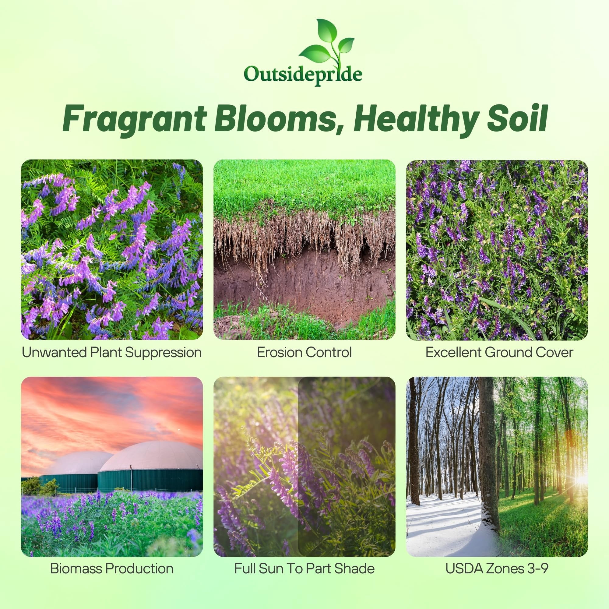 Outsidepride 10 lb. Hairy Vetch Forage, Pasture, Hay, & Cover Crop Seed