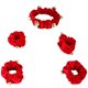 thumbnail image 1 of 1 juego collar para perro mascota, 1 of 3