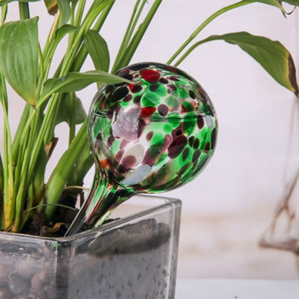 Globes D'Arrosage Pour Plantes, Automatique Boule En Verre D