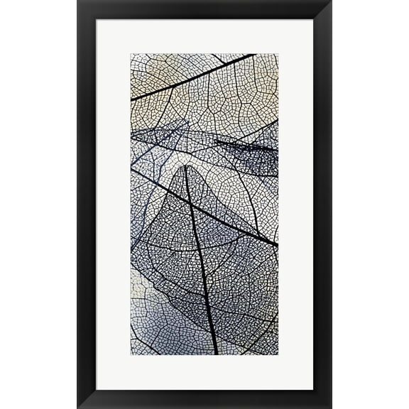 Great Art Now Transparent 1 by Kimberly Allen, Framed Wall Art, 16.75W x 26.75H