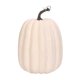 thumbnail image 1 of Calabazas Transforma Tu Hogar Esta Temporada Con Elegantes Calabazas, Ideales Para Las Celebraciones Otoñales Y Las Reuniones Festivas., 1 of 8