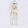 Cyber Monday Deals 2021 Halloween Decoration - decoration bar KTV scene horror luminous skeleton skeleton pendant