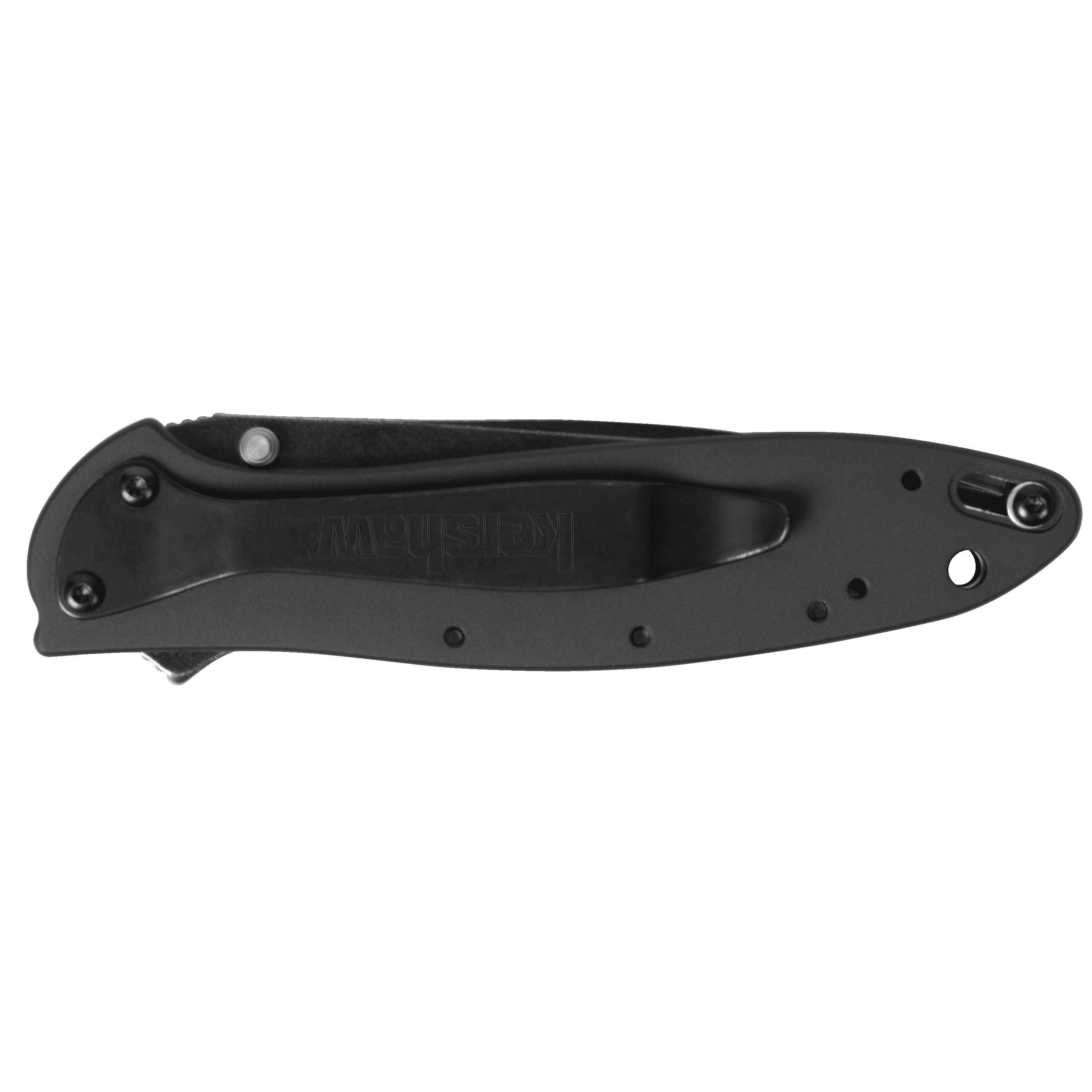 Kershaw Leek BlackWash 3" Blade with Assisted Opening Pocket Knife