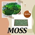 thumbnail image 3 of Injueey Musgo Artificial de flores preservadas, Color sólido sintético portátil, bricolaje, reemplazo vívido, adorno de liquen para césped y jardín Plantas Artificiales Verde claro Injueey HA084267-03, 3 of 6
