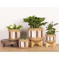 thumbnail image 1 of LG POT ON WOOD STAND BRUSH STROKES, 1 of 3