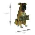 thumbnail image 4 of DWK CORP World Of Wonders "Tyson" The Boxer Dog Garden Welcome Statue, 4 of 4
