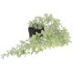 thumbnail image 1 of LITINKIMI Colgante De Rattan Planta Falsa Para De Fiestas Y Ambientes Temáticos, 1 of 6