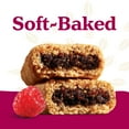 thumbnail image 5 of Nature's Bakery Gluten Free Raspberry Fig Bars in Twin Pack Box, 2 oz Each, 6 packs, 5 of 11