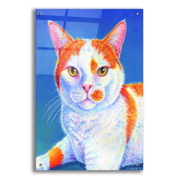 Epic Art 'Orange and White Cat on Blue' by Rebecca Wang Art, Acrylic Glass Wall Art, 24"x36"