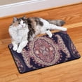 thumbnail image 2 of Vintage Paisley Pattern Pet Food Mat - Absorbent Dog Food Spill Mat - Non-Slip Rubber Base - Ethnic Decorative Design - Easy Clean, 2 of 5